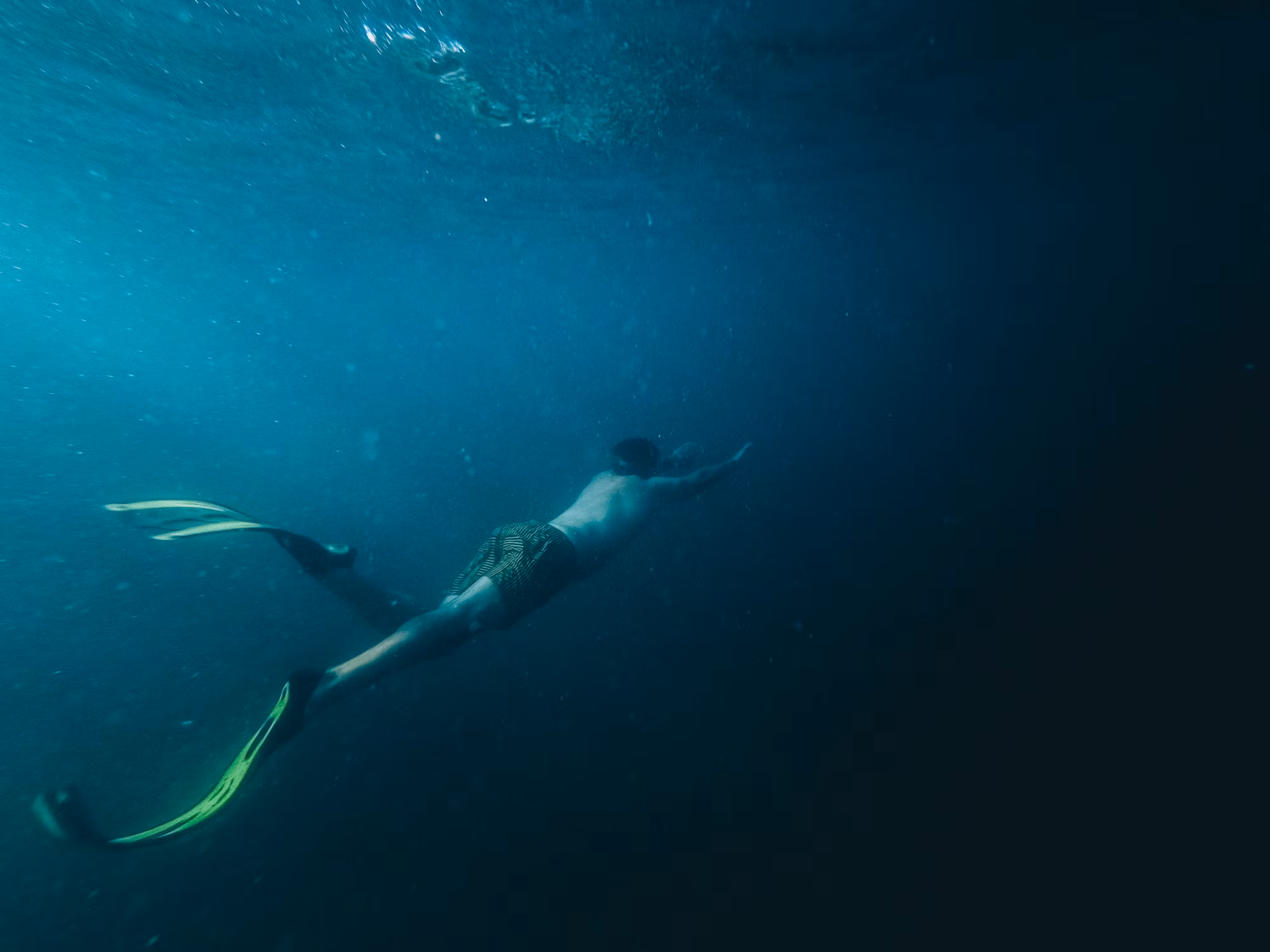 Diving Into Adventure: A Guide to Underwater Exploration